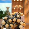 Cây đào ngọc hoàng long 18 quả