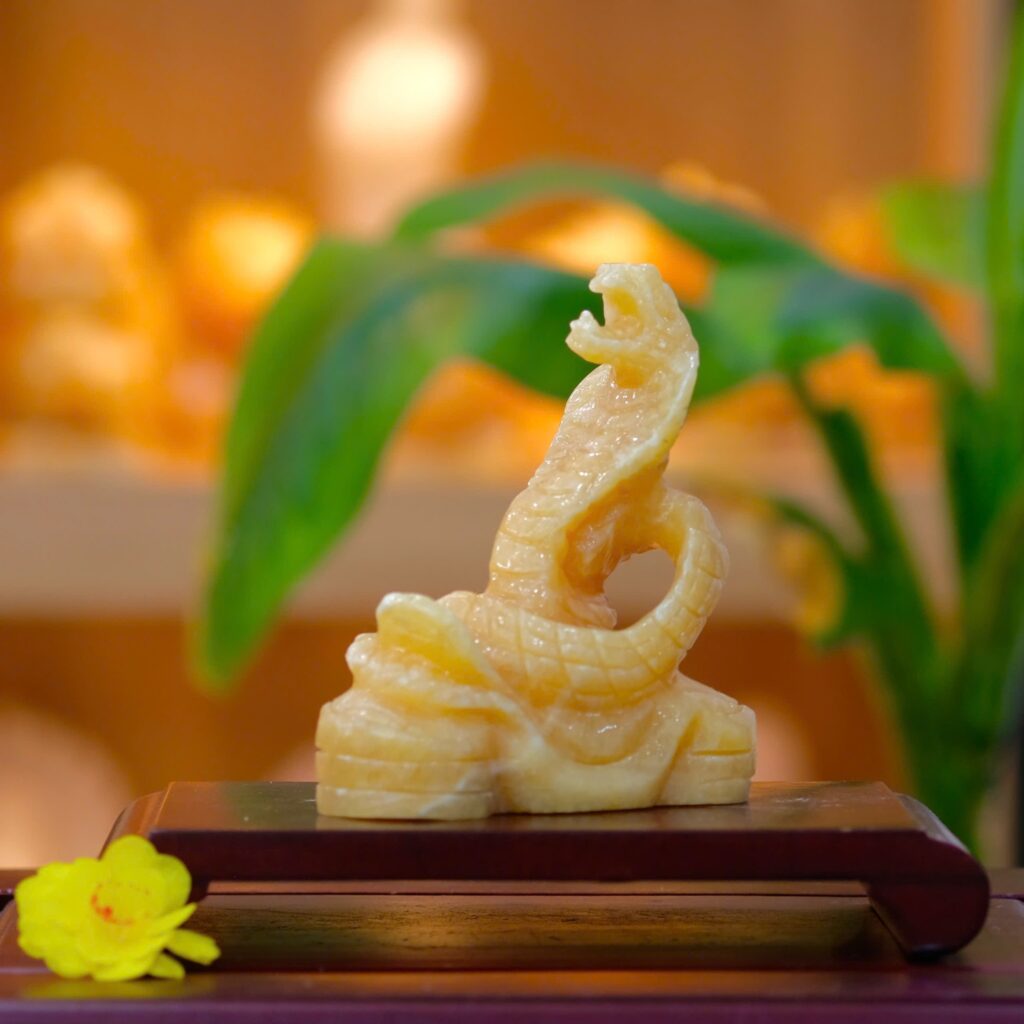 474002802 122107410746717627 1646843101905349776 n