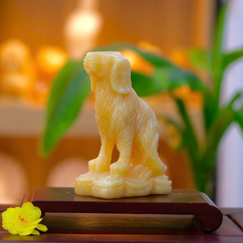 474068189 122107411178717627 4787037876041600829 n