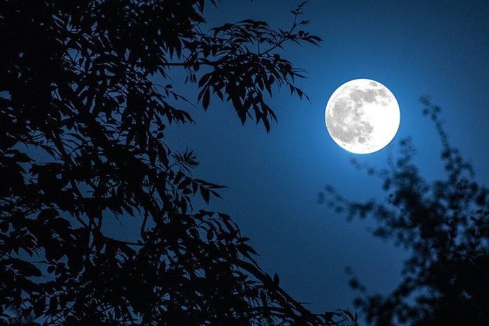 Top 5 Cách Kích Hoạt Năng Lượng Cho Vòng Phong Thủy Đơn Giản Tại Nhà 4 trang